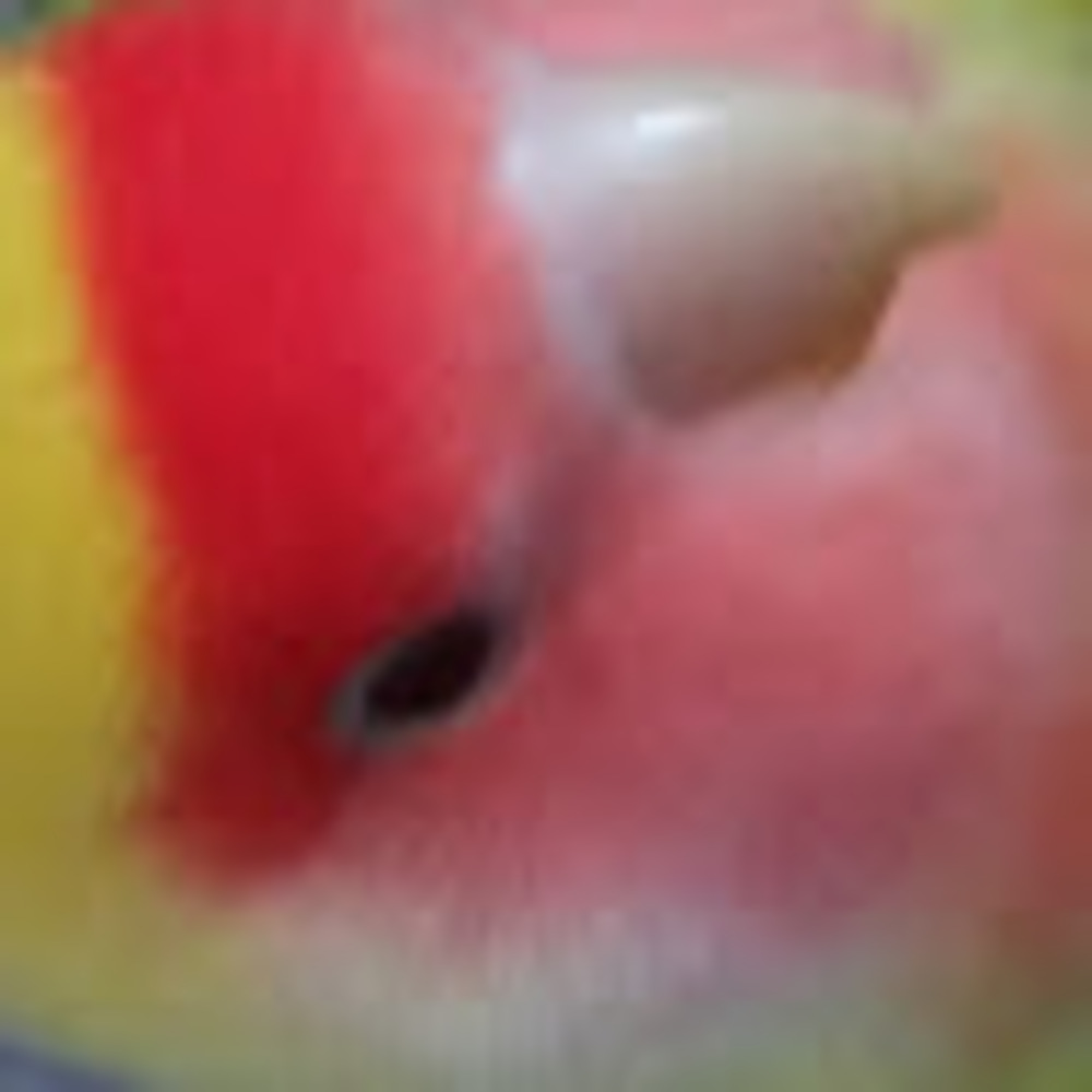 Meet your Posher, Ethan